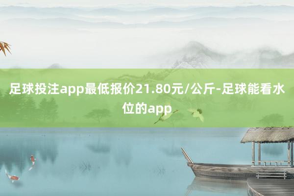 足球投注app最低报价21.80元/公斤-足球能看水位的app