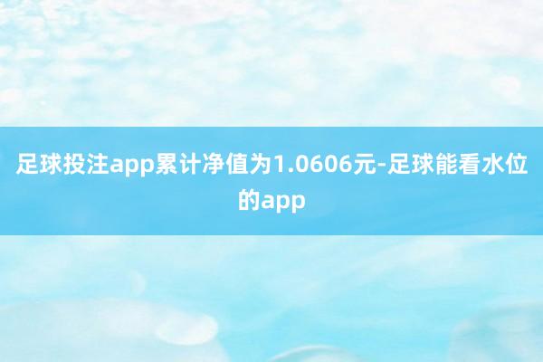 足球投注app累计净值为1.0606元-足球能看水位的app