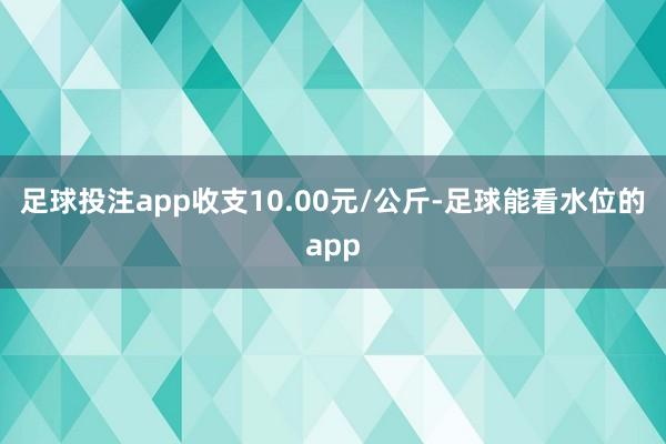 足球投注app收支10.00元/公斤-足球能看水位的app