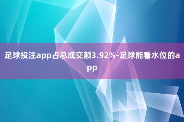 足球投注app占总成交额3.92%-足球能看水位的app