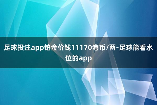 足球投注app铂金价钱11170港币/两-足球能看水位的app