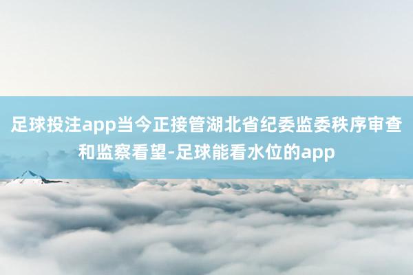 足球投注app当今正接管湖北省纪委监委秩序审查和监察看望-足球能看水位的app