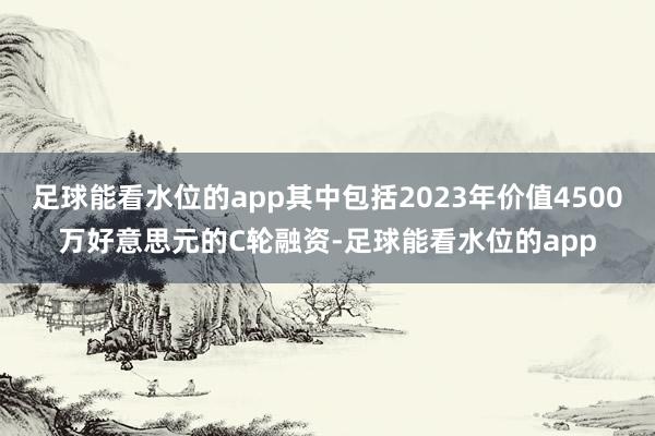 足球能看水位的app其中包括2023年价值4500万好意思元的C轮融资-足球能看水位的app
