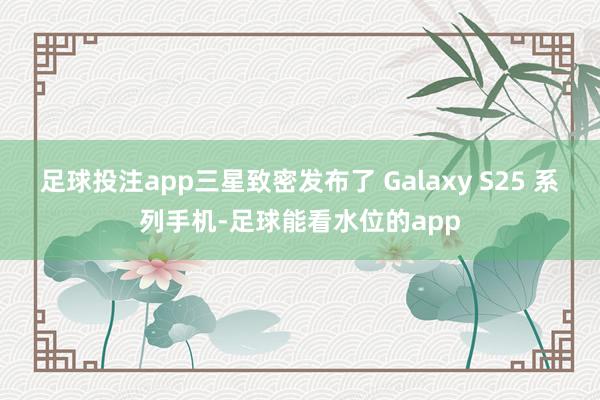 足球投注app三星致密发布了 Galaxy S25 系列手机-足球能看水位的app