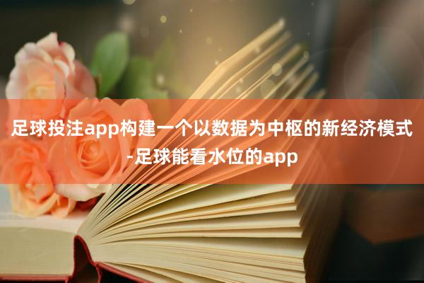 足球投注app构建一个以数据为中枢的新经济模式-足球能看水位的app
