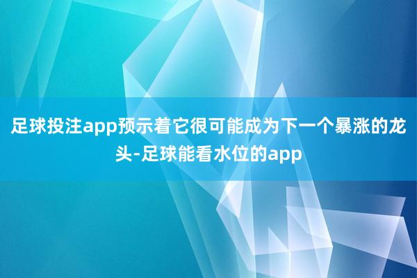 足球投注app预示着它很可能成为下一个暴涨的龙头-足球能看水位的app