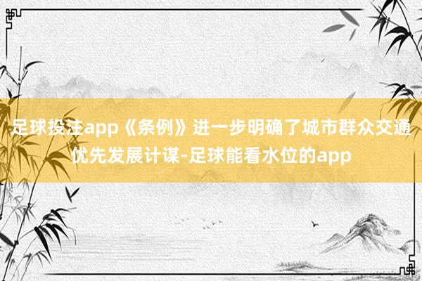 足球投注app《条例》进一步明确了城市群众交通优先发展计谋-足球能看水位的app