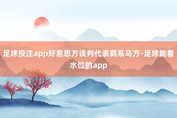 足球投注app好意思方谈判代表羁系乌方-足球能看水位的app