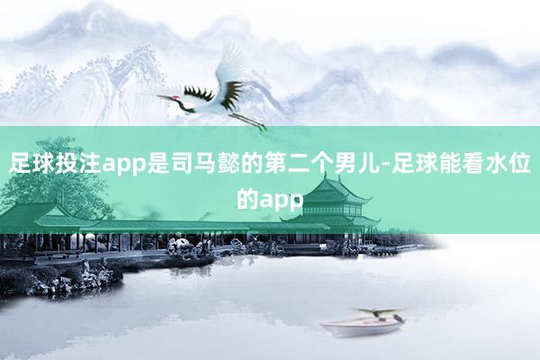 足球投注app是司马懿的第二个男儿-足球能看水位的app