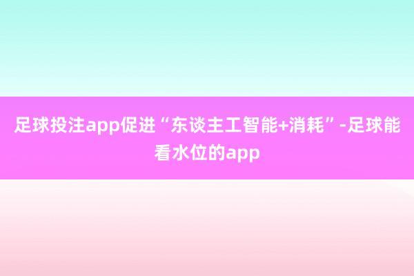 足球投注app促进“东谈主工智能+消耗”-足球能看水位的app