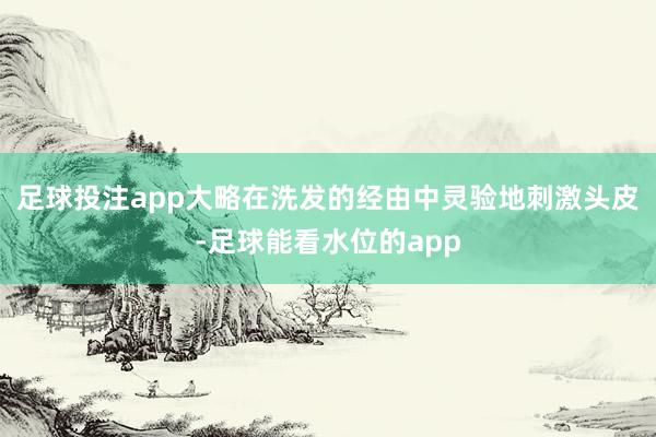 足球投注app大略在洗发的经由中灵验地刺激头皮-足球能看水位的app