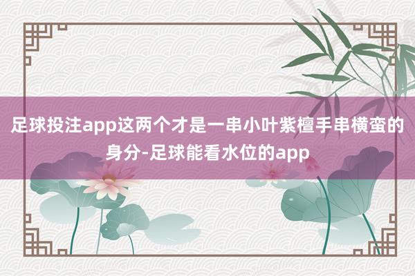 足球投注app这两个才是一串小叶紫檀手串横蛮的身分-足球能看水位的app