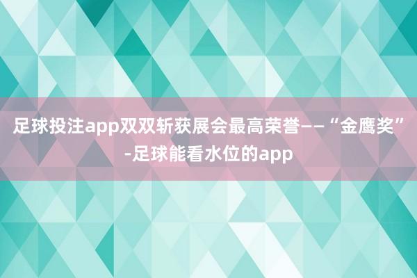足球投注app双双斩获展会最高荣誉——“金鹰奖”-足球能看水位的app