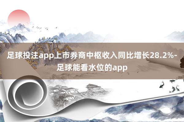 足球投注app上市券商中枢收入同比增长28.2%-足球能看水位的app