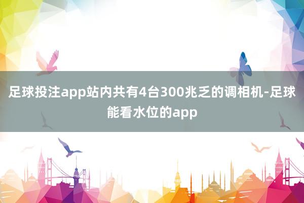 足球投注app站内共有4台300兆乏的调相机-足球能看水位的app