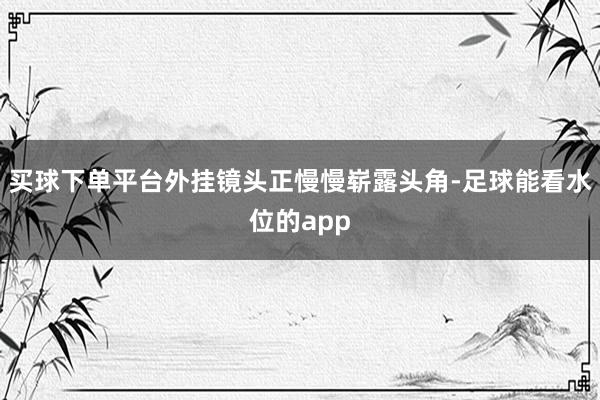 买球下单平台外挂镜头正慢慢崭露头角-足球能看水位的app
