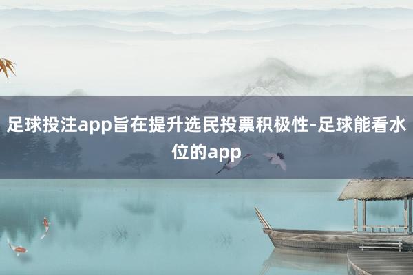 足球投注app旨在提升选民投票积极性-足球能看水位的app