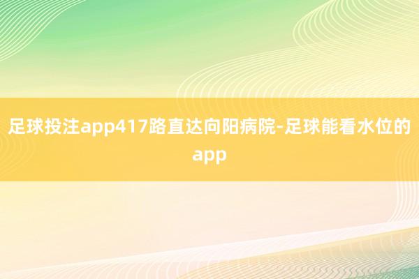 足球投注app417路直达向阳病院-足球能看水位的app