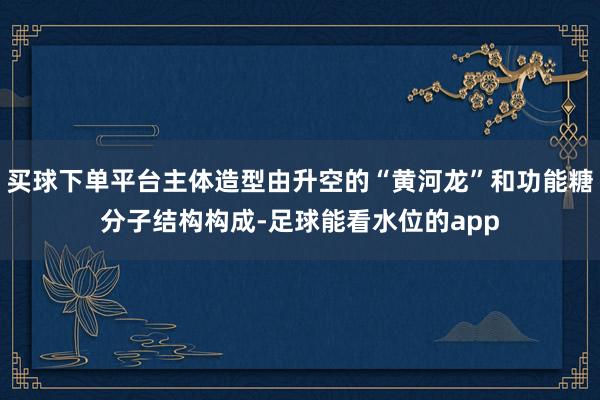 买球下单平台主体造型由升空的“黄河龙”和功能糖分子结构构成-足球能看水位的app