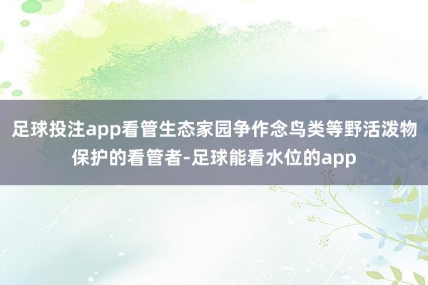 足球投注app看管生态家园争作念鸟类等野活泼物保护的看管者-足球能看水位的app