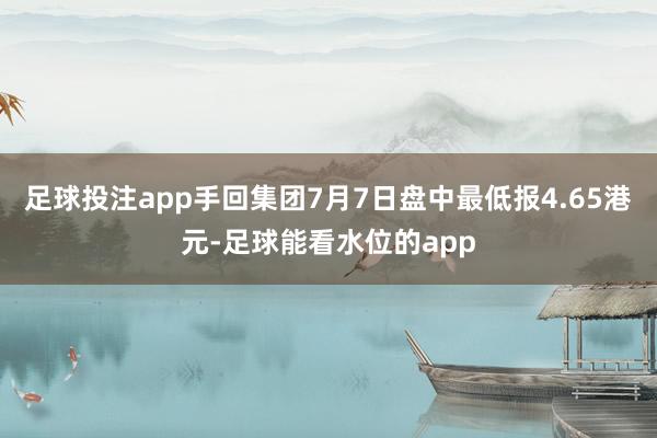 足球投注app手回集团7月7日盘中最低报4.65港元-足球能看水位的app