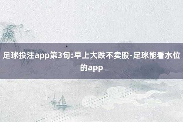 足球投注app第3句:早上大跌不卖股-足球能看水位的app