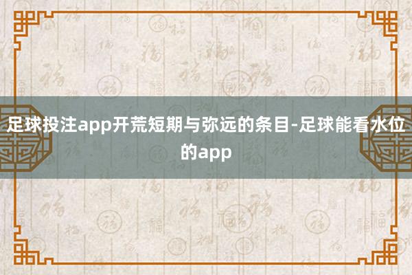 足球投注app开荒短期与弥远的条目-足球能看水位的app