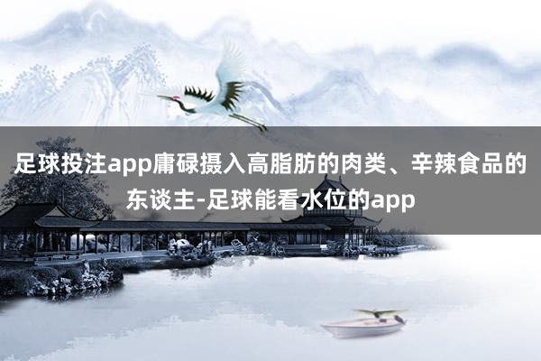 足球投注app庸碌摄入高脂肪的肉类、辛辣食品的东谈主-足球能看水位的app