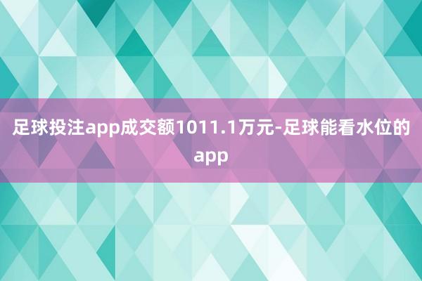足球投注app成交额1011.1万元-足球能看水位的app