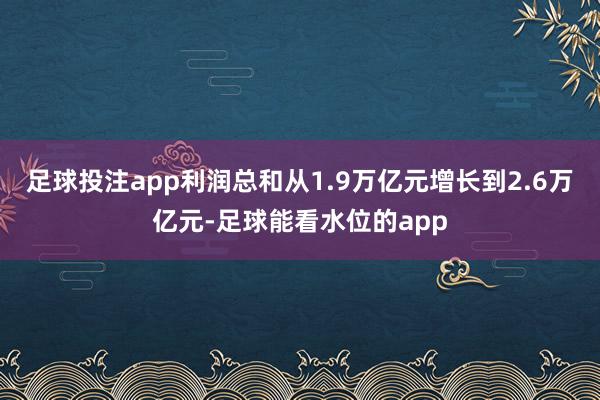 足球投注app利润总和从1.9万亿元增长到2.6万亿元-足球能看水位的app
