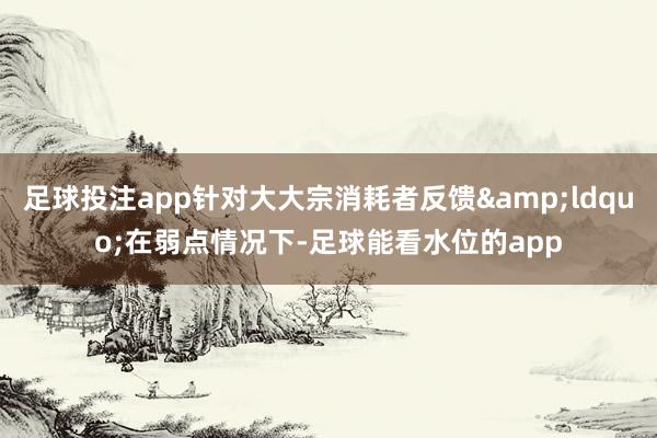 足球投注app针对大大宗消耗者反馈“在弱点情况下-足球能看水位的app