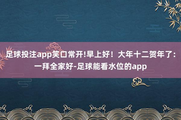 足球投注app笑口常开!早上好!大年十二贺年了:一拜全家好-足球能看水位的app