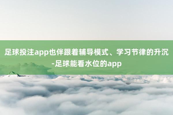 足球投注app也伴跟着辅导模式、学习节律的升沉-足球能看水位的app