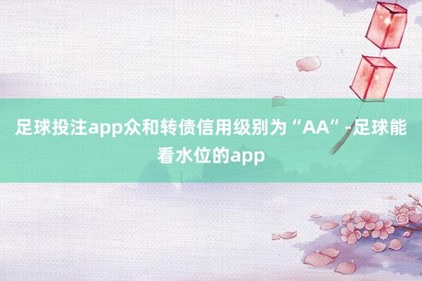 足球投注app众和转债信用级别为“AA”-足球能看水位的app