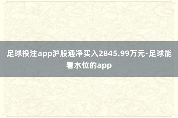 足球投注app沪股通净买入2845.99万元-足球能看水位的app