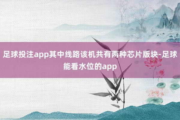 足球投注app其中线路该机共有两种芯片版块-足球能看水位的app