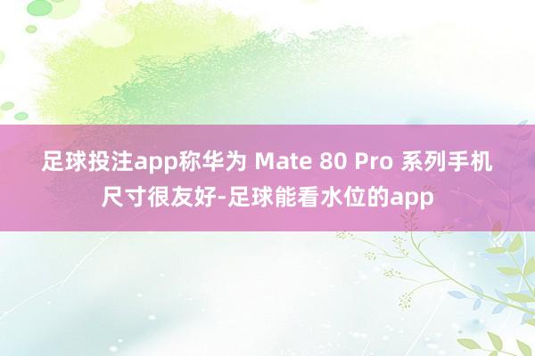 足球投注app称华为 Mate 80 Pro 系列手机尺寸很友好-足球能看水位的app