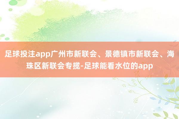 足球投注app广州市新联会、景德镇市新联会、海珠区新联会专揽-足球能看水位的app