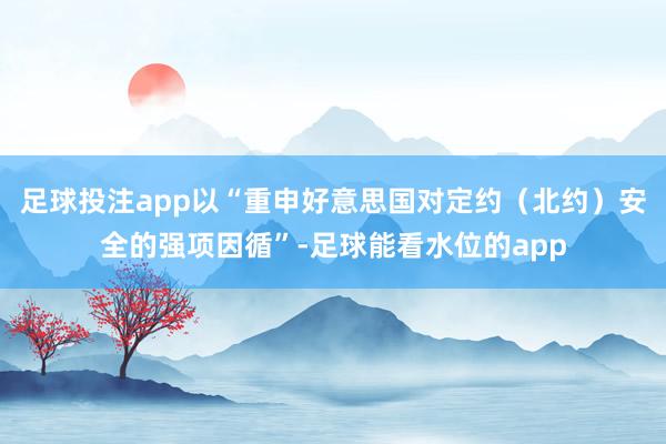 足球投注app以“重申好意思国对定约（北约）安全的强项因循”-足球能看水位的app