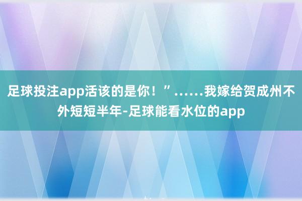 足球投注app活该的是你!”……我嫁给贺成州不外短短半年-足球能看水位的app