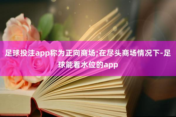 足球投注app称为正向商场;在尽头商场情况下-足球能看水位的app