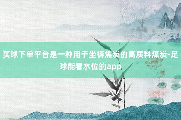 买球下单平台是一种用于坐褥焦炭的高质料煤炭-足球能看水位的app