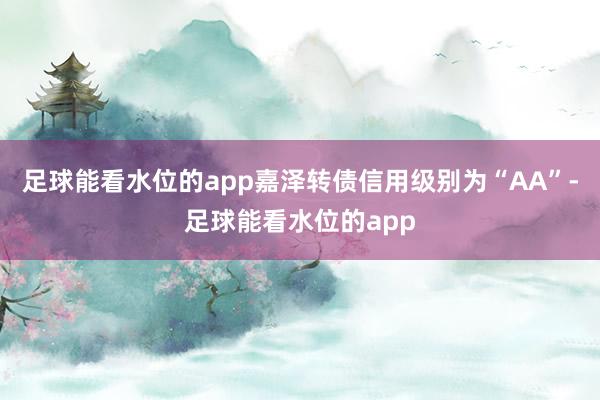 足球能看水位的app嘉泽转债信用级别为“AA”-足球能看水位的app