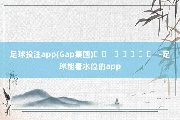 足球投注app　　(Gap集团)		  					  -足球能看水位的app