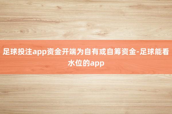 足球投注app资金开端为自有或自筹资金-足球能看水位的app