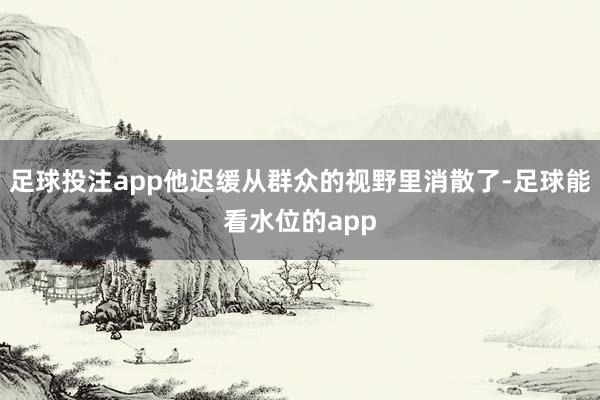 足球投注app他迟缓从群众的视野里消散了-足球能看水位的app