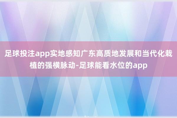 足球投注app实地感知广东高质地发展和当代化栽植的强横脉动-足球能看水位的app