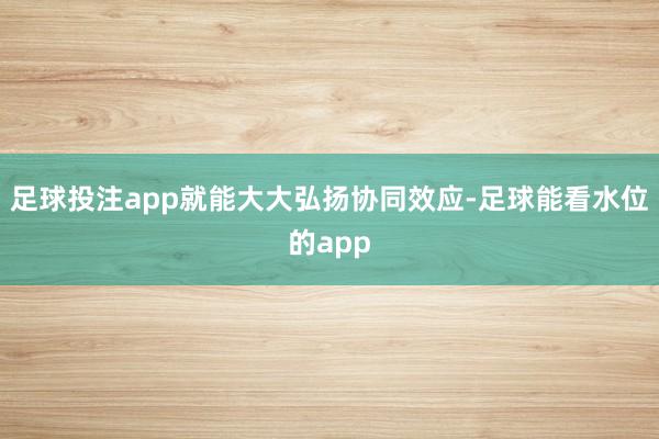 足球投注app就能大大弘扬协同效应-足球能看水位的app