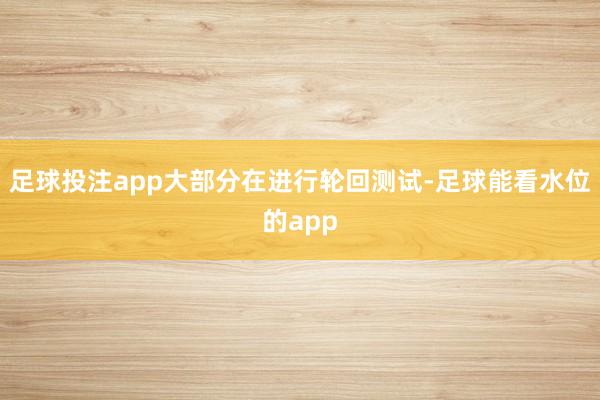 足球投注app大部分在进行轮回测试-足球能看水位的app