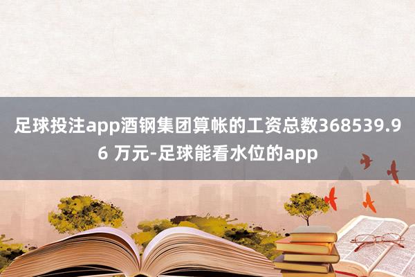 足球投注app酒钢集团算帐的工资总数368539.96 万元-足球能看水位的app